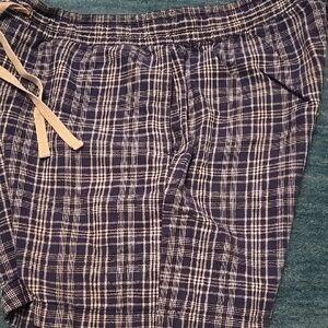 J. Crew Blue Checkered Drawstring Pants